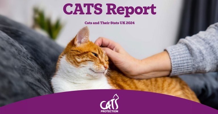 Cats Protection urges Government it must stop extreme breeding