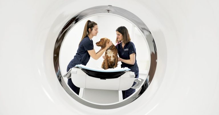 Granta Veterinary Specialists expands to offer orthopaedics