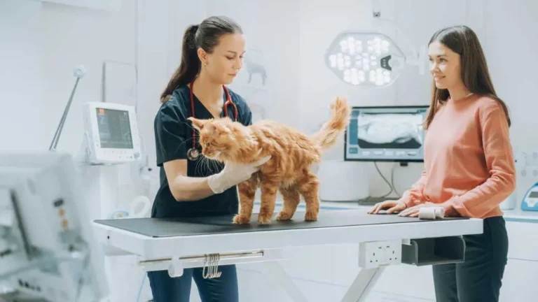 ‘Hola, this is Pharmadiet!’