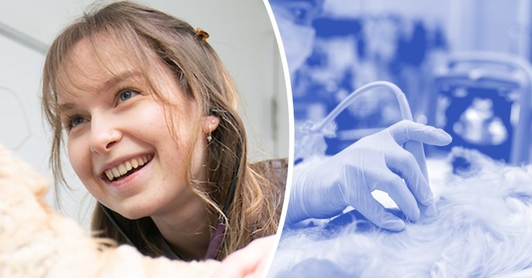 Georgia Robb: Starting my veterinary career