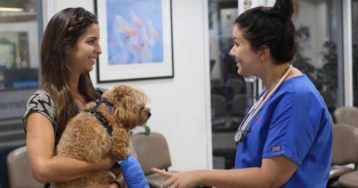 Vets needed for new study to identify factors influencing clinical advice