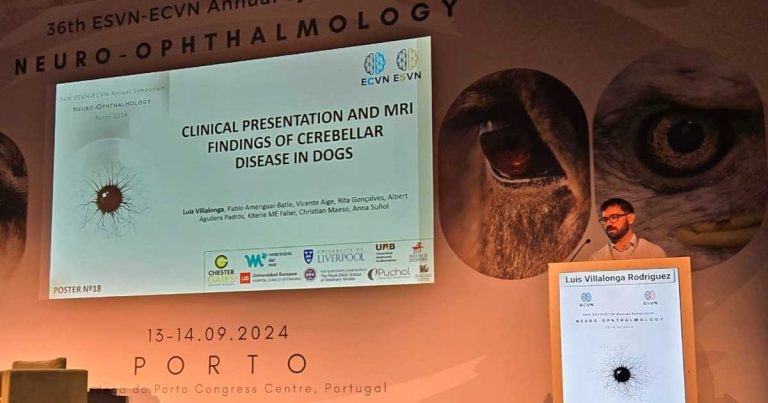 Neurology student wins top prize for cerebellar disease research