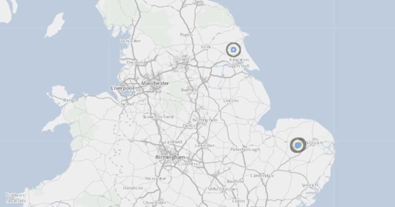 Avian flu: three new cases in England 
