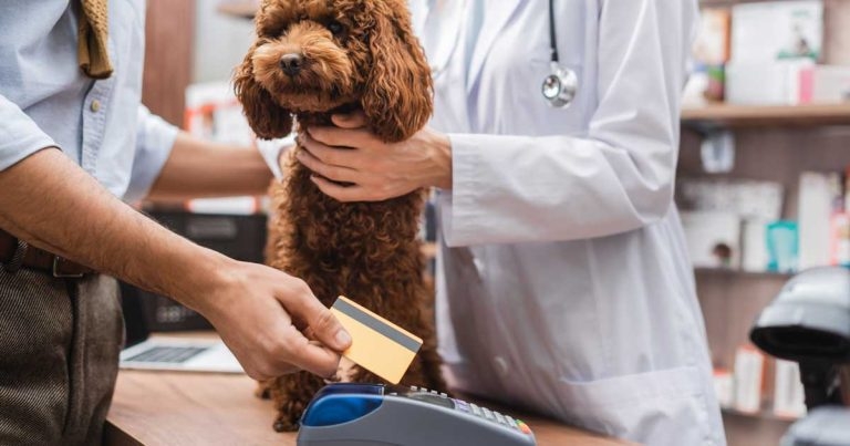 Essex and Kent practices ‘targeted in card machine scam’