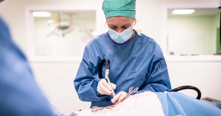 Online tool to improve detection of post-surgical infections 