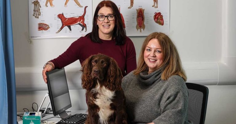 First degree-level vet nurse course set for Northern Ireland