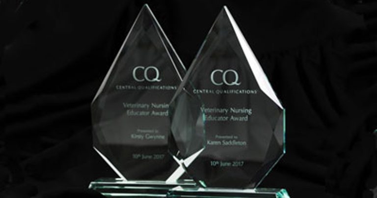 Nominations open for nurse educator award