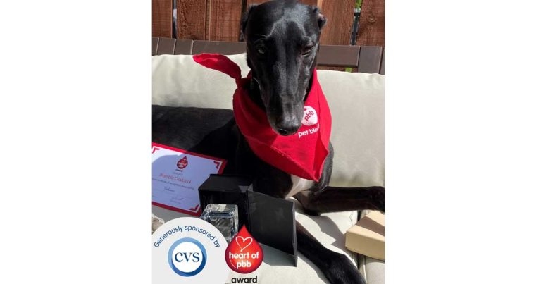 Pet Blood Bank awards to relaunch with CVS sponsorship