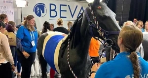 BEVA Congress to celebrate equine RVNs ‘more than ever’