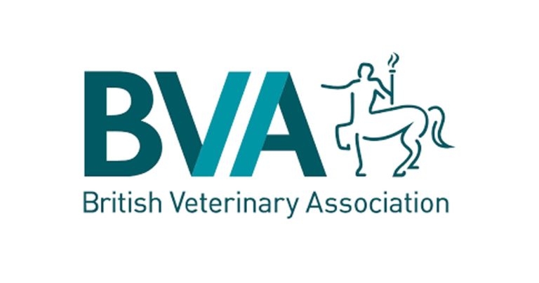 Search on for BVA’s Young Vet of 2025