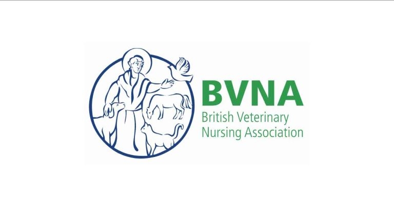 BVNA praises VNAM ‘diamond’ response