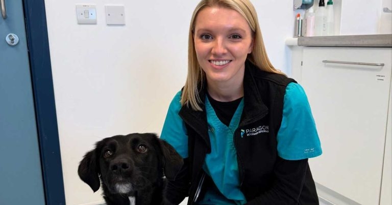 West Yorkshire RVN makes grade as veterinary technician specialist
