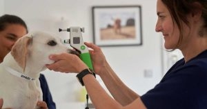 Dry eye CPD event planned by South Downs