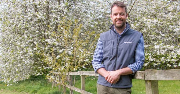 Free farm placement opportunity open to vet undergrads