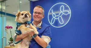 Practice Profile: Southside Vets, Hong Kong