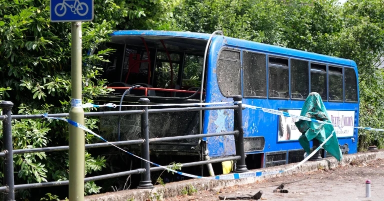 ‘Pleased we could help’ Hampshire vet practice praised for bus crash action
