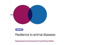 New report says Government ‘not prepared’ for major animal disease outbreak