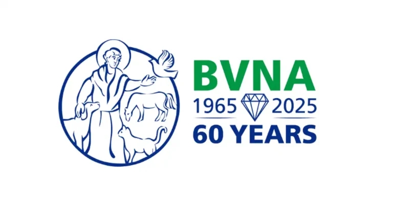 BVNA announces first council appointments