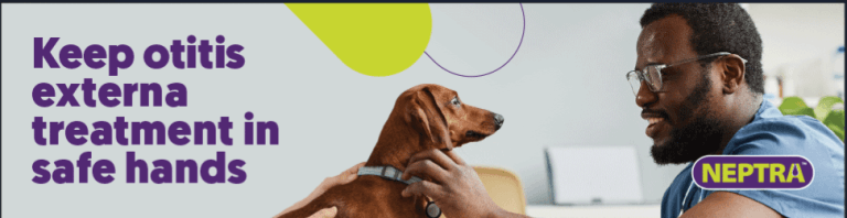 Rethinking otitis: optimising management to support dogs, owners and practices