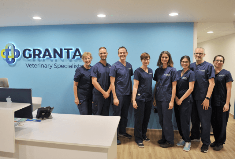 Independent specialist care &#8211; streamlined for busy vets