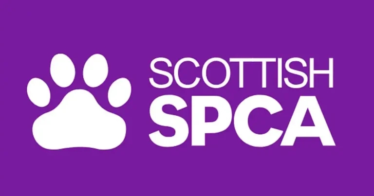SSPCA reveals ‘significant’ rise in demand for services