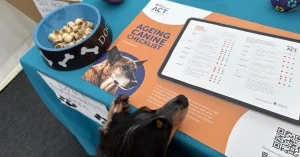 Liverpool vet school celebrates VetFest connections