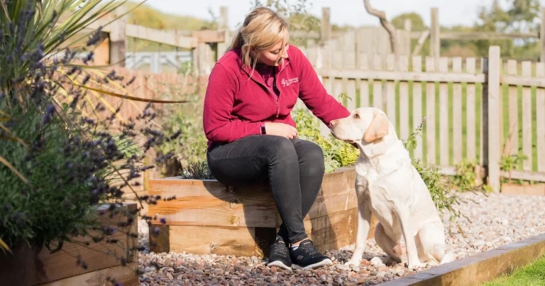 CVS raises £85k for Hearing Dogs for Deaf People
