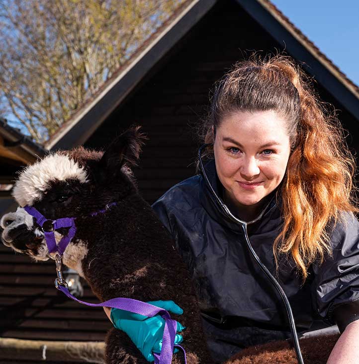 Evolution of your practice ethos