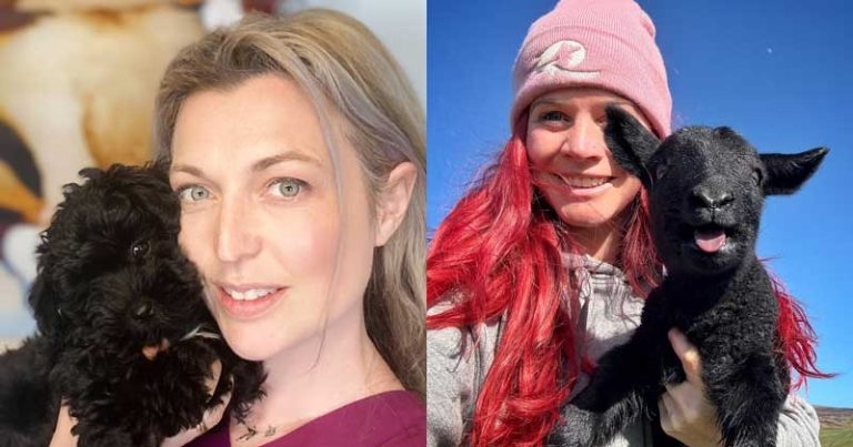 Vet Times Extra: Tackling tapeworm topics and treatments – with Cat Henstridge and Hannah Jackson