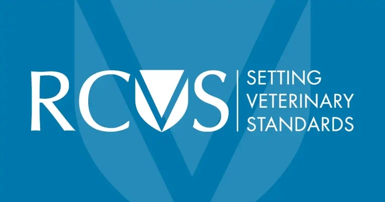 RCVS unveils new postgrad qualification accreditation process