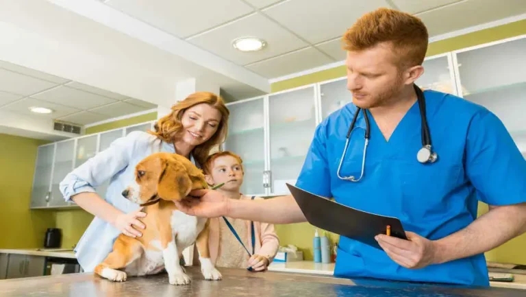Challenge of wound infection in animal health
