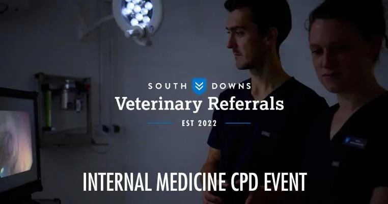 Pyrexia focus for South Downs CPD session