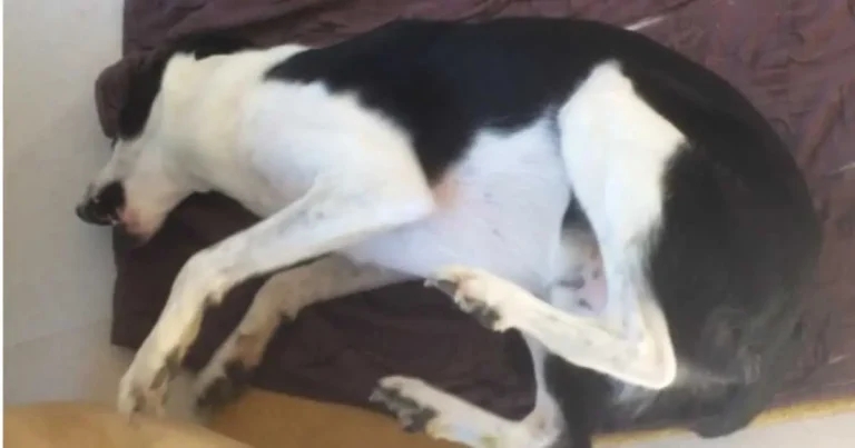 Emergency seizure patient care