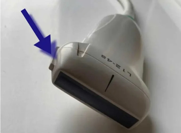 Ultrasound-guided nerve blocks in companion animals