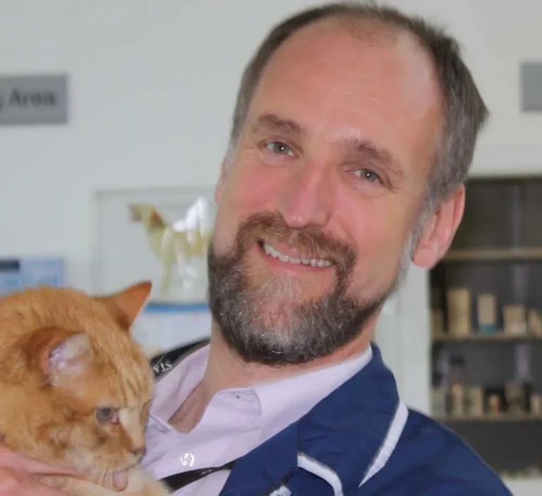 Dechra host canine Cushing’s syndrome webinar