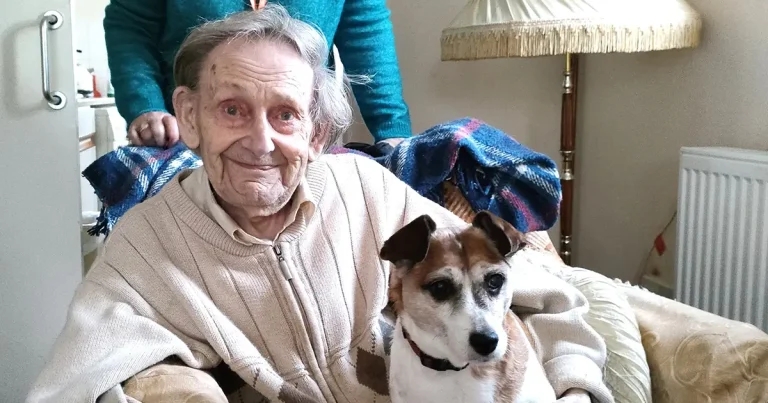 Vet-run animal companionship charity launches Christmas appeal