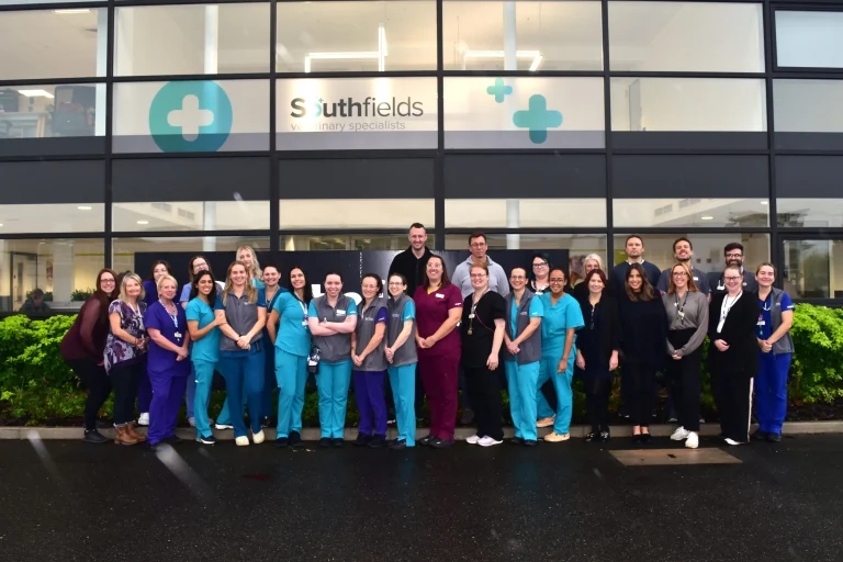 Southfields hospital celebrates full re-opening after fire