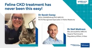 Virbac announces free CKD CPD webinar