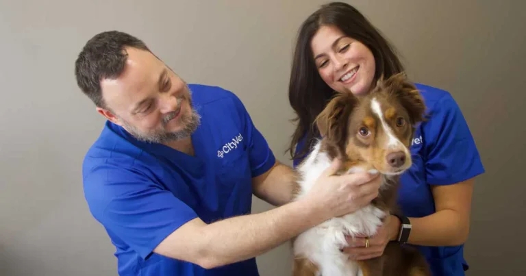 CityVet opens new Fort Worth practice