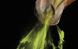 Vets urged to recommend EHV vaccination