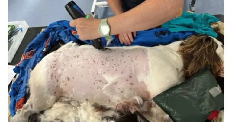 OPINION: the luckiest unlucky girl