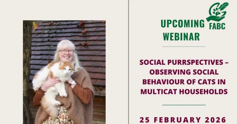 Cat social behaviour webinar by award-winning vet
