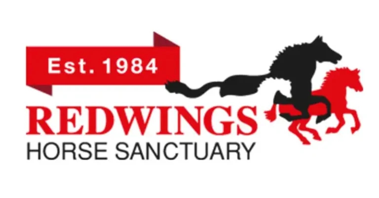 Redwings announces centre closure plan amid cost fears