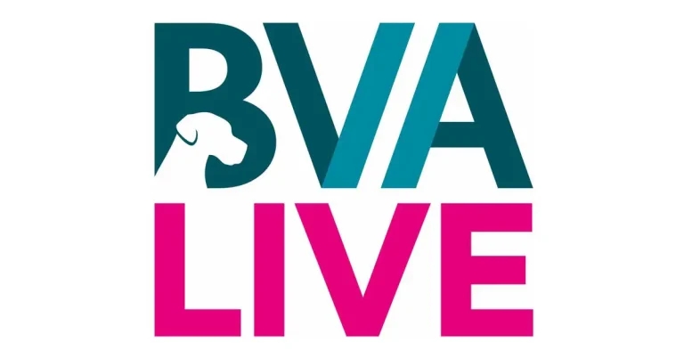 CMA focus for BVA Live