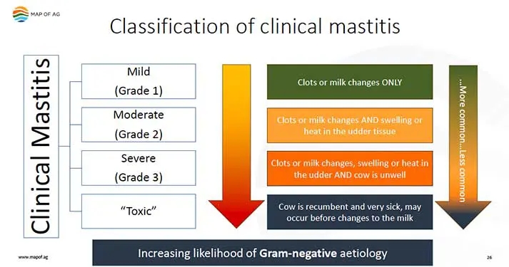 Clinical mastitis: record keeping’s role