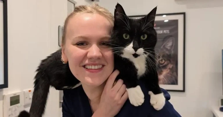 CPR focus for free CPD session