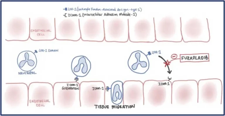 Acute pancreatitis problems in dogs: what’s new? – Part two