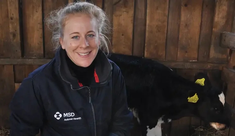 Calf vaccines identified as key to antibiotic reduction efforts