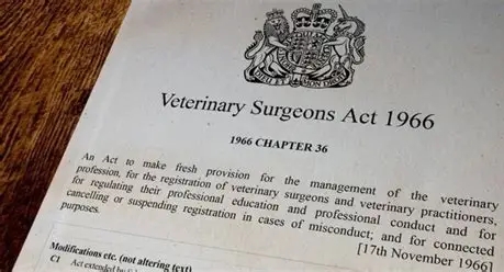 BVA warns over low response rate to VSA consult as deadline looms