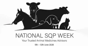 Inaugural national SQP week launching in June